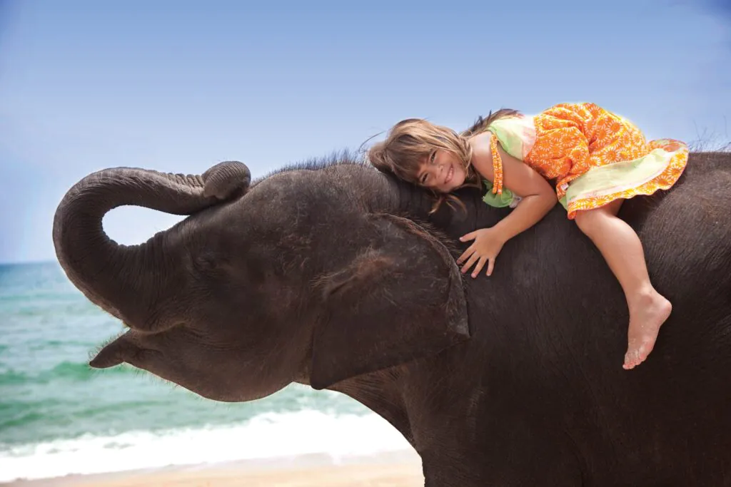 Девушка купается со слоном, развлечение для туристов на Пхукете
