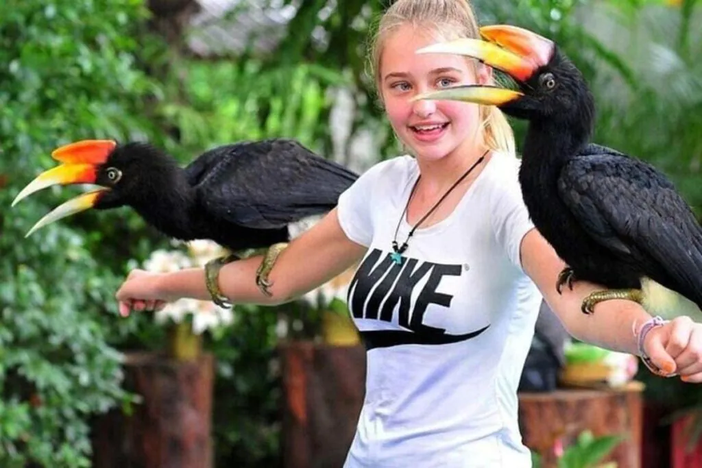 Птицы живут в комфортных условиях и совсем не боятся людей