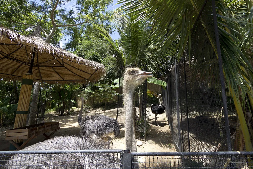 Даже такого пернатого красавца можно встретить на этой экскурсии
