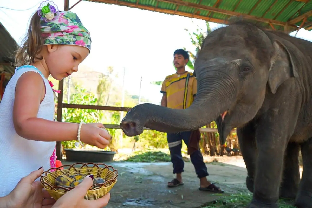 Семейный отдых на Пхукете: лучшие экскурсии для детей