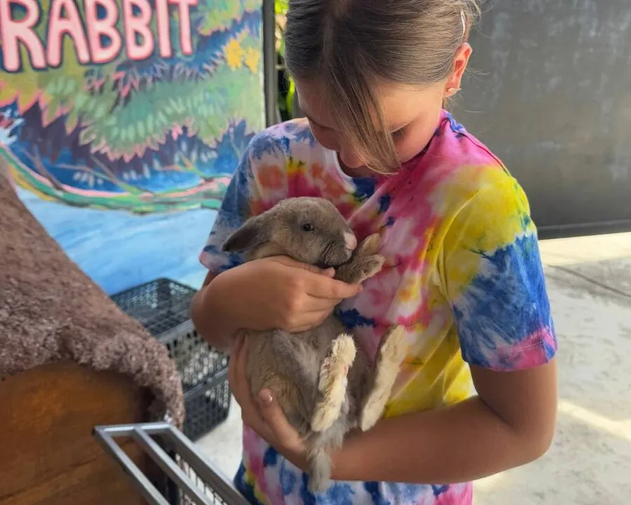 Маленькие посетители экскурсий особенно любят взаимодействовать с животными