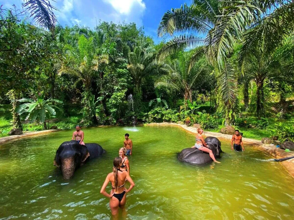 Купание со слонами - это однозначно незабываемый опыт!