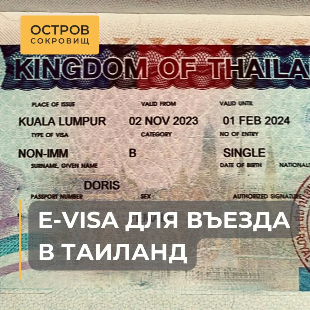 Интерфейс официального сайта для оформления электронной визы в Таиланд