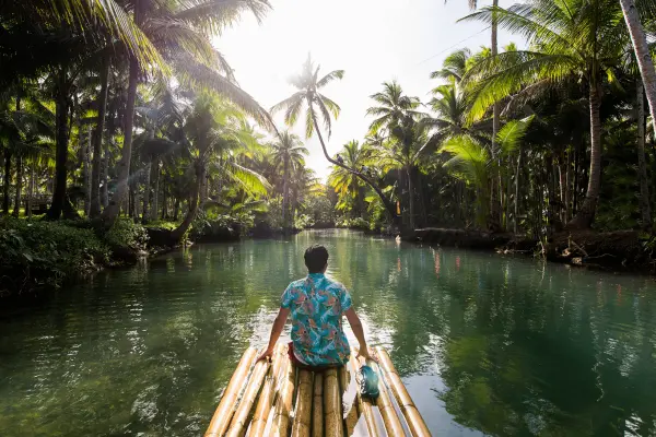 Водопады и джунгли: лучшие экскурсии в природу без выхода в море
