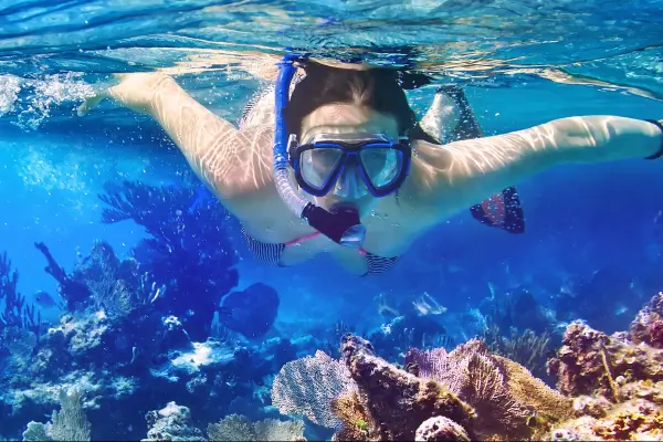 Снорклинг или дайвинг: что выбрать новичку и где лучшие места рядом с Пхукетом